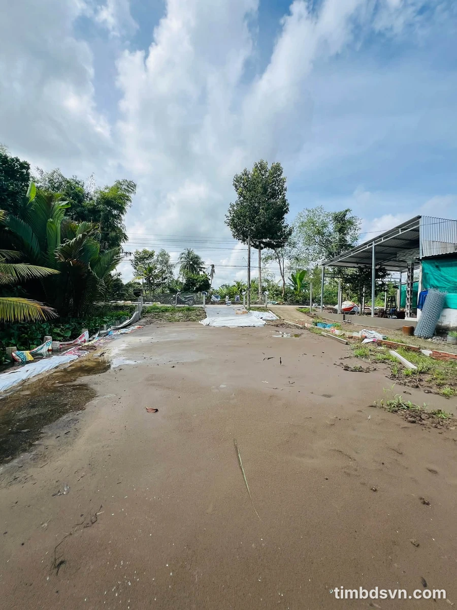 Bán đất trồng mít Thái 6835m² Đông Phước A Cần Thơ - Ảnh thu nhỏ 5