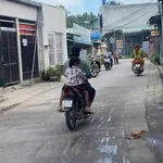 Bán gấp đất 295m2 hai mặt tiền Hóc Môn - Ảnh thu nhỏ 3