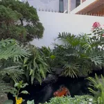 Bán nhà 2 tầng sân vườn, sân ô tô rộng, 3 phòng ngủ, gần Đại học Tây Nguyên, Buôn Ma Thuột - Ảnh thu nhỏ 1