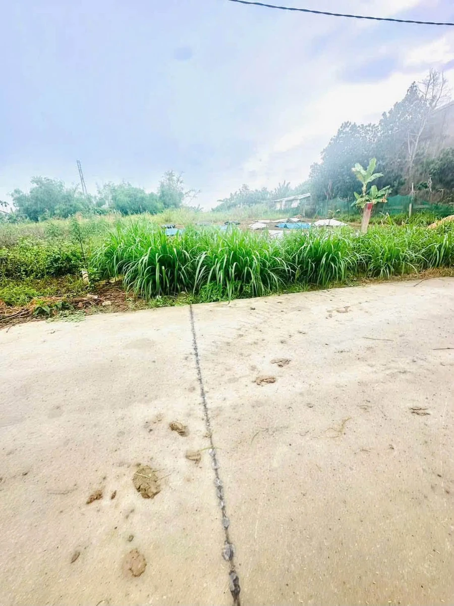 Bán đất 124m2 Kỳ Lam Điện Bàn Tây Đà Nẵng - Ảnh thu nhỏ 3