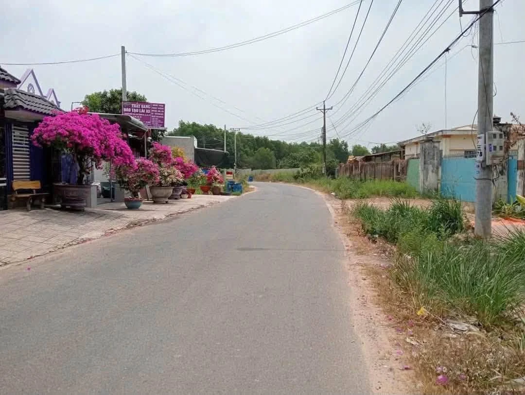 Bán lô đất 15x83m có 300m thổ cư tại An Điền, Bến Cát, Bình Dương giá 5,6 tỷ - Ảnh thu nhỏ 4