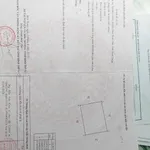 Bán nhà vườn Bình An 1674m² giá 2 tỷ 250 - Ảnh thu nhỏ 2