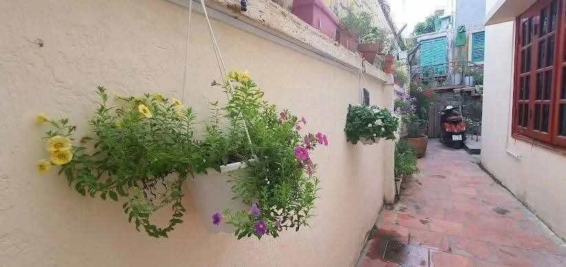 Bán nhà đất 194.6m² kinh doanh homestay Phan Chu Trinh, Vũng Tàu - Ảnh 1