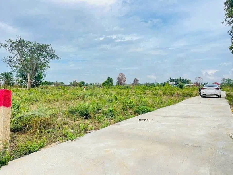 Bán lô đất cây trồng 1.481m2 Hàm Liêm Lâm Đồng - Ảnh 1