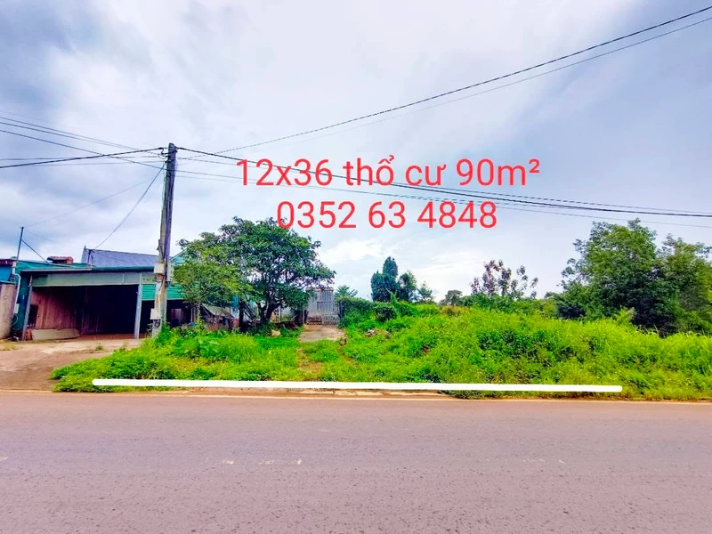 Bán đất mặt tiền Nguyễn Văn Cừ 432m² Gia Nghĩa