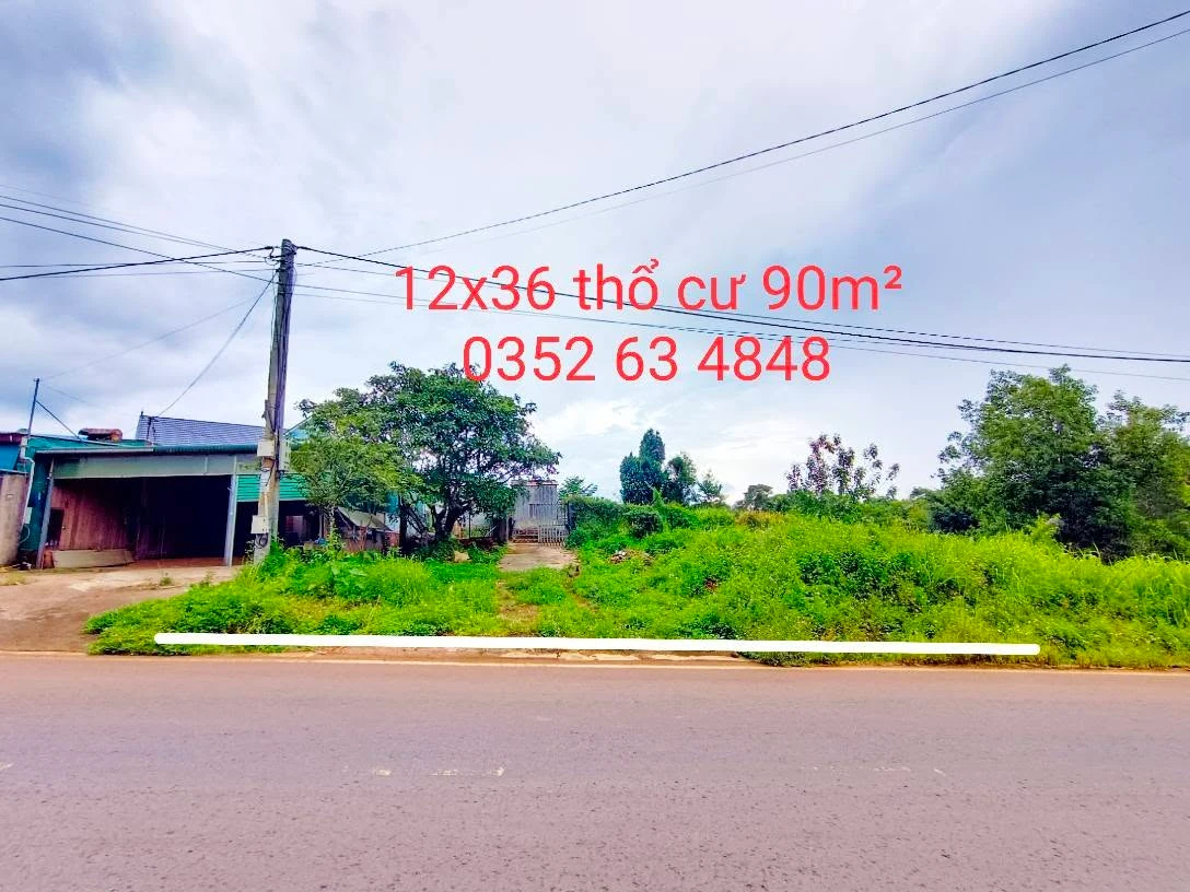 Bán đất mặt tiền Nguyễn Văn Cừ 432m² Gia Nghĩa - Ảnh 1