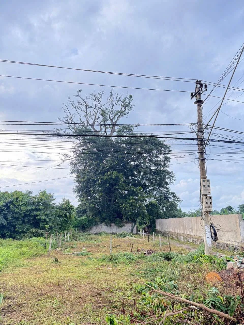 Bán đất góc 2 mặt tiền Quốc Lộ 14, 500m², 5,5 tỷ - Ảnh 1