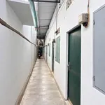 Bán dãy trọ 6 phòng 131.76m² Đồng Khởi Bình Dương - Ảnh thu nhỏ 2