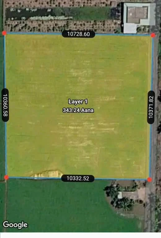 Bán đất lúa 10.000m² có 300m² thổ cư Long An - Ảnh thu nhỏ 3