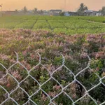 Bán đất vườn 1000m² Phan Rang 2 tỷ 370 - Ảnh thu nhỏ 1