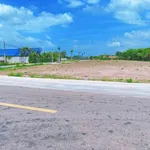 Bán đất 170m² mặt tiền Nguyễn Huệ, Đất Đỏ, giá 8xx triệu - Ảnh thu nhỏ 3