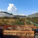 Bán lô đất 2 mặt tiền 220m² KQH Đa Quý, Đà Lạt - Ảnh thu nhỏ 2