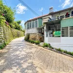 Bán nhà Đà Lạt 169m² đầu tư cho thuê, Đông Tĩnh - Ảnh thu nhỏ 2
