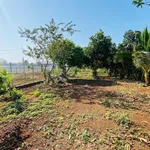 Bán đất Thị Trấn Đất Đỏ 582m2 giá 3 tỷ - Ảnh thu nhỏ 4