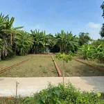 Bán đất mặt tiền Huỳnh Thị Luông Phước Lâm 112,5m² - Ảnh thu nhỏ 1