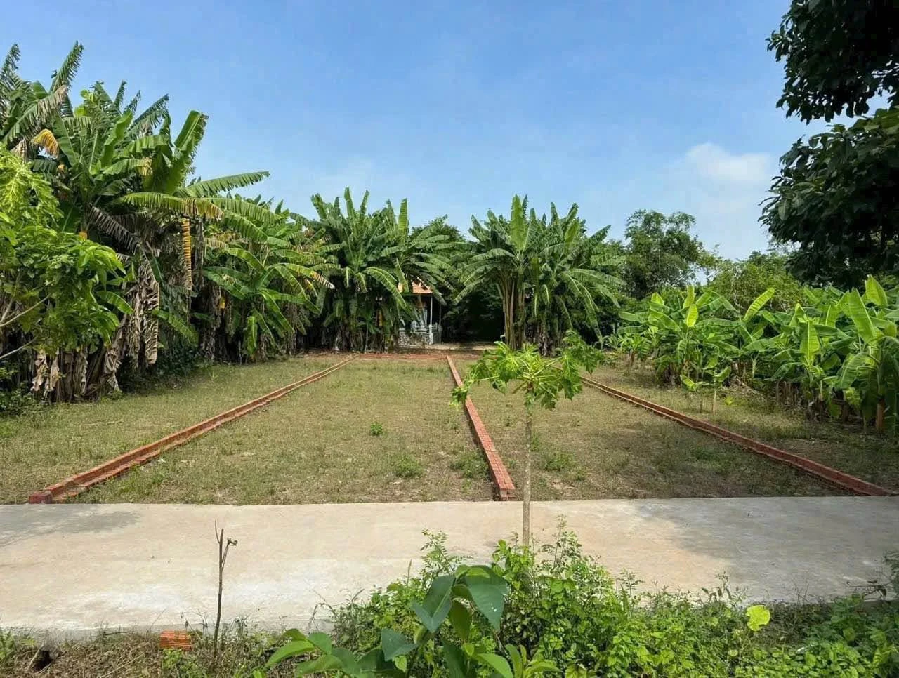 Bán đất mặt tiền Huỳnh Thị Luông Phước Lâm 112,5m² - Ảnh 1