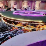 Bán đất gần biển có sẵn mô hình cafe cá Koi 373.8m2 ngang 14m chỉ 54tỷ. Đường Củ Chi, Bắc Nha Trang - Ảnh thu nhỏ 13