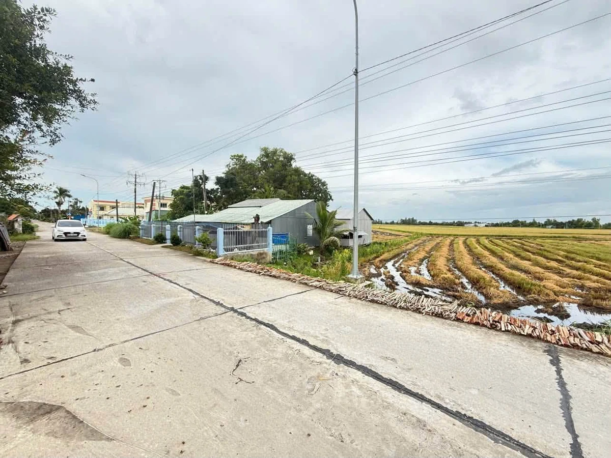 Bán 3 nền đất mặt tiền Nguyễn Chánh, An Giang, 700m2 - Ảnh thu nhỏ 5