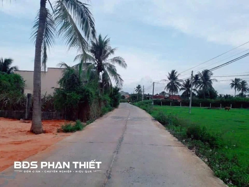 Bán đất thổ cư Phú Mỹ 341 m² 1 tỷ 9