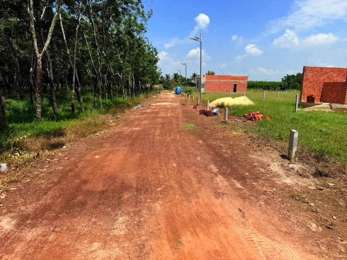 Bán đất mặt tiền Đất Đỏ Chà Bá, Bình Minh, Tây Ninh 100m2 - Ảnh thu nhỏ 2