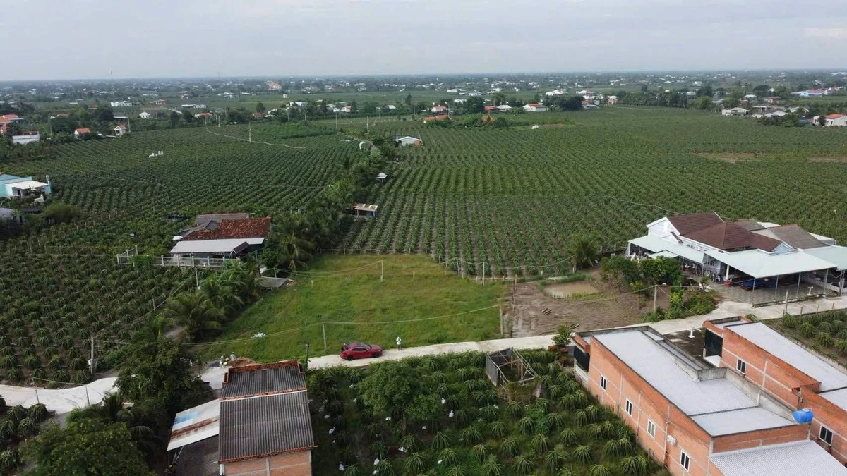 Bán 3 nền đất Hòa Phú Long An 125m2 - Ảnh thu nhỏ 2