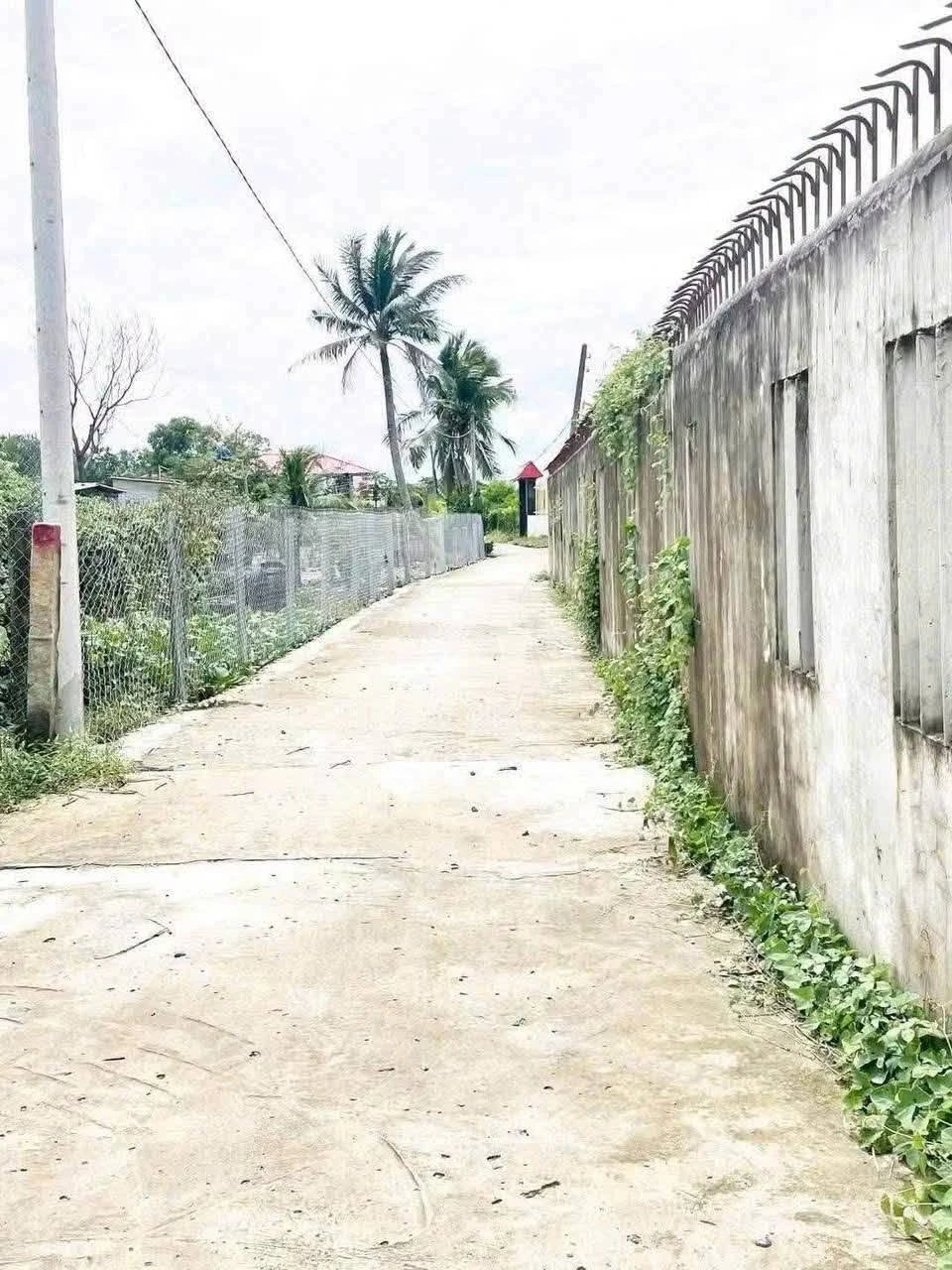 Bán đất Hòa Phú Long An 5x27m, 5x30m 550-600 triệu - Ảnh 1