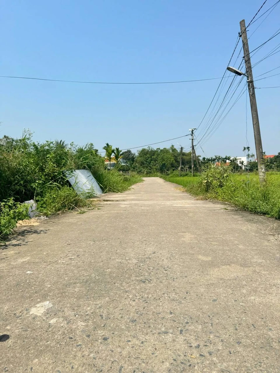 Bán đất Điện Hoà 172m2 giá 1 tỷ - Ảnh 1