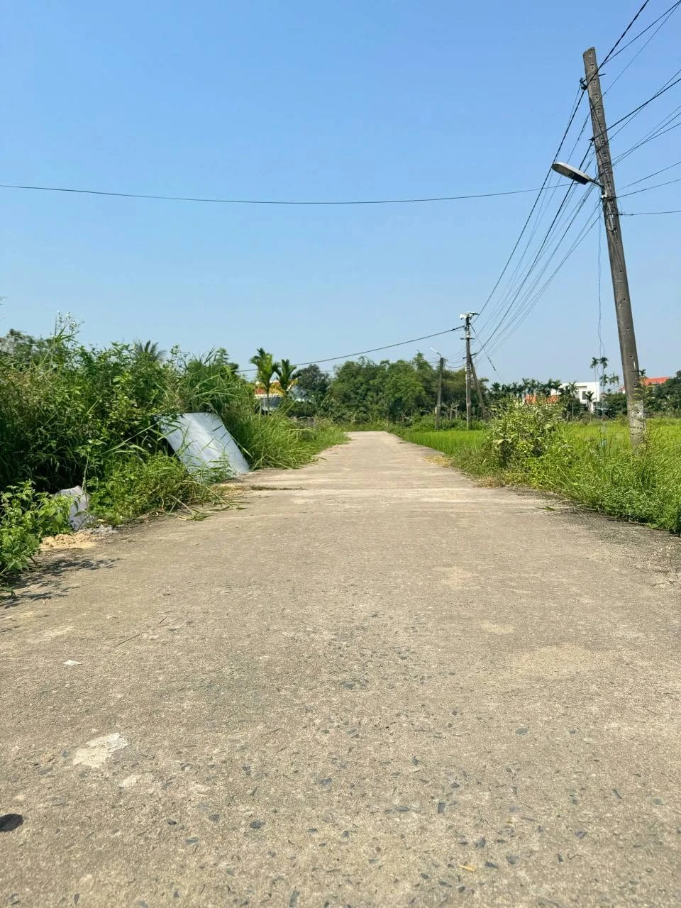 Bán đất Điện Hoà 172m2 giá 1 tỷ - Ảnh 1