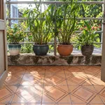 Bán nhà mặt tiền Phú Nhuận 36m2, giá 7 tỷ - Ảnh thu nhỏ 3
