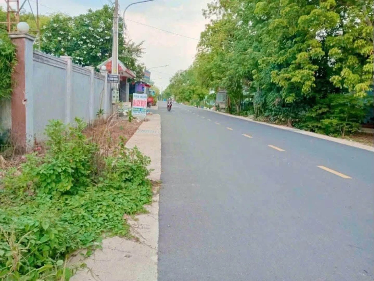 Bán lô đất 889m2 tại Phú An, Bình Dương 6 tỷ - Ảnh thu nhỏ 5