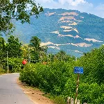 Bán đất 1000m² vườn dừa ao cá gần Núi Chứa Chan - Ảnh thu nhỏ 1