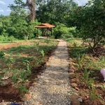 Bán nhà vườn 1609m2 Ea Nuôl Đắk Lắk - Ảnh thu nhỏ 1