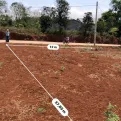 Bán đất nên sát UBND xã Hướng Phùng Quảng Trị. Diện tích 457m2 - Ảnh thu nhỏ 11