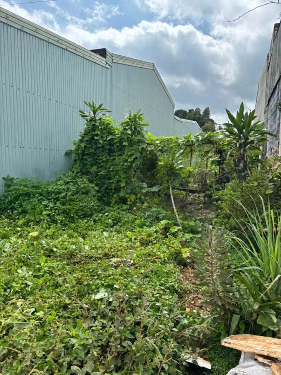 Bán lô mặt tiền đường Hàm Nghi 50m² Quận 1 - Ảnh 1