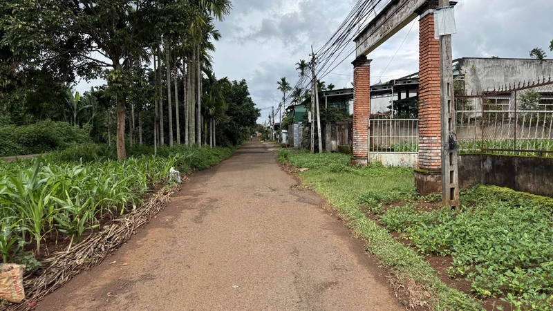 Bán nhà mái Thái 200m² Krông Păk, Đắk Lắk - 1,55 tỷ