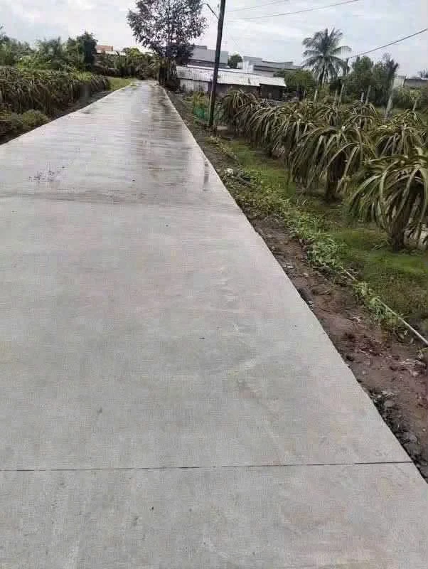 Bán 1.000m2 đất lúa chuyển thổ cư giá 550 triệu tại Thuận Mỹ, Châu Thành, Long An - Ảnh thu nhỏ 3