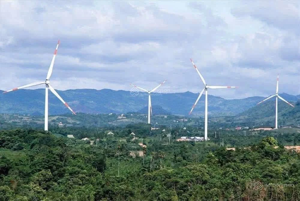 350m2 sẵn thổ 100m2, Thành phố Pleiku, nhà cấp 4 sẵn, nở hậu 15m, 990 triệu - Ảnh thu nhỏ 3