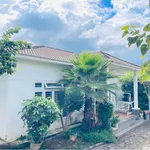 Nhà vườn mái Nhật 4 phòng ngủ 6,2 tỷ Quận 12 - Ảnh thu nhỏ 1
