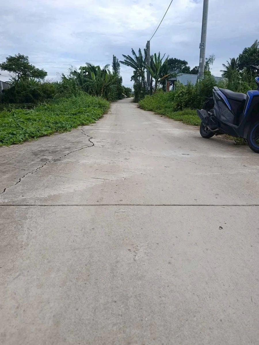 Bán đất mặt tiền Kinh 7 Thạnh Lộc 500m² - Ảnh thu nhỏ 3