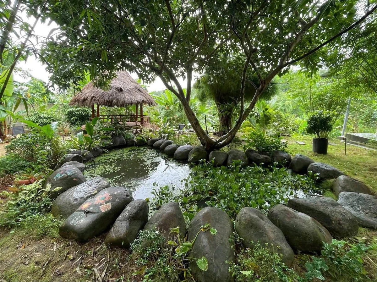 Bán homestay đang khai thác 1163m² 7 phòng, KM12 QL26 - Ảnh thu nhỏ 3