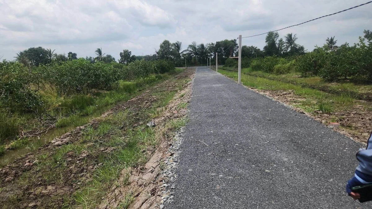 Bán đất vườn 500m2 tại Thạnh Hoà, Bến Lức, Long An - Ảnh thu nhỏ 2