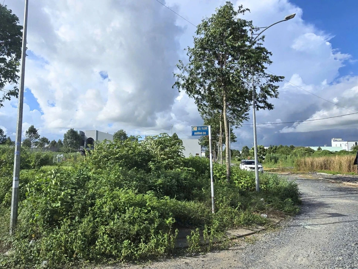 Bán đất mặt tiền đường D25 104m2 KDC Hồng Loan, Hưng Thạnh, Cần Thơ giá 3,8 tỷ - Ảnh thu nhỏ 3