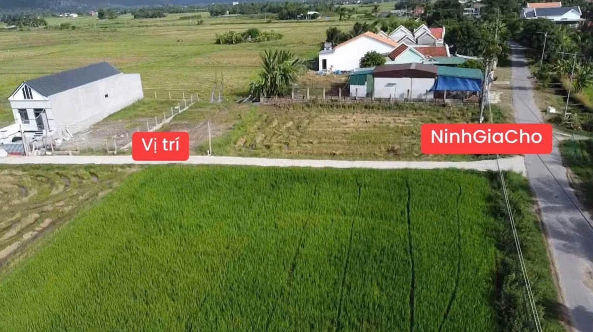 Bán đất Hoà Thắng 130m² sổ cư, giá 399 triệu - Ảnh thu nhỏ 2
