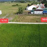 Bán đất Hoà Thắng 130m² sổ cư, giá 399 triệu - Ảnh thu nhỏ 2