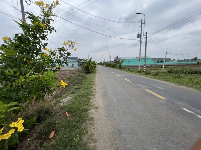 Bán đất mặt tiền 1.295m² Tân Trụ, Long An