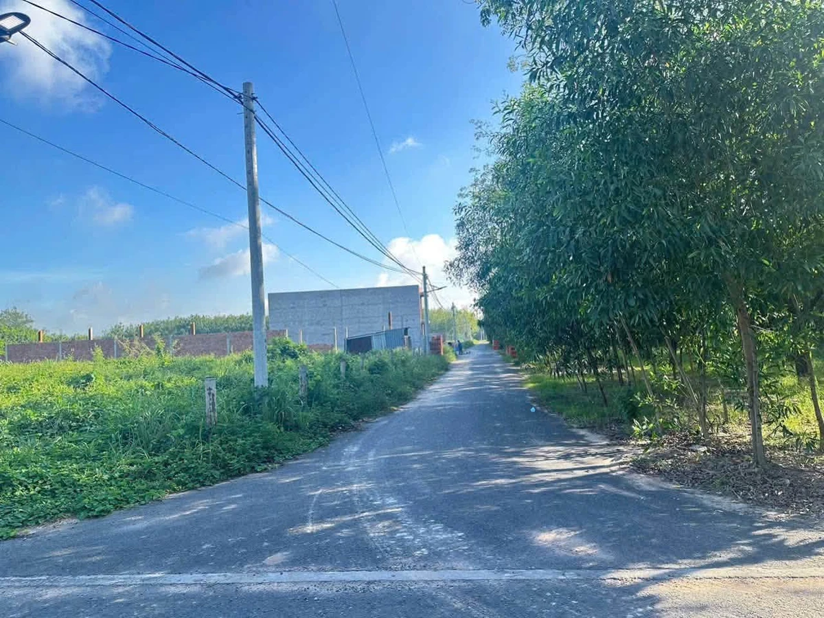 Bán đất Chánh Phú Hòa 60m² 1 tỷ 3 - Ảnh thu nhỏ 4
