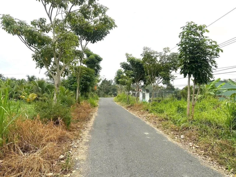 Bán lô đất thổ cư mặt tiền 200m² Long An 950 triệu