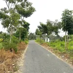 Bán lô đất thổ cư mặt tiền 200m² Long An 950 triệu - Ảnh thu nhỏ 1