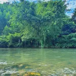 Bán đất 1,7 hecta giáp sông Khế, Khánh Hòa, 750 triệu - Ảnh thu nhỏ 4