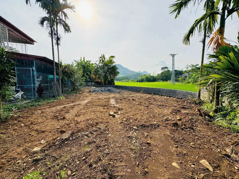 Bán đất 254m² view cánh đồng Kim Bôi, Hòa Bình